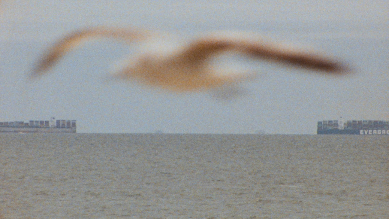 jetty-film-rockaway