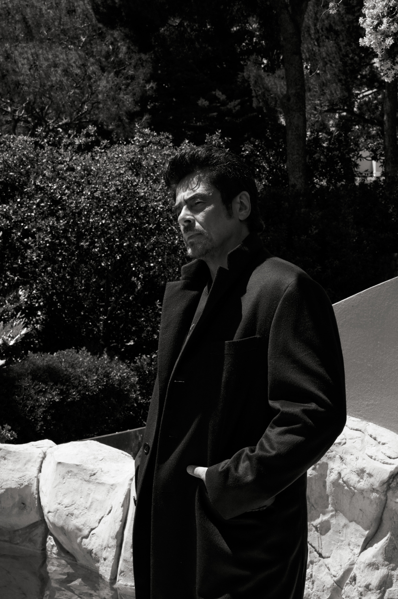 benicio-del-toro-actor