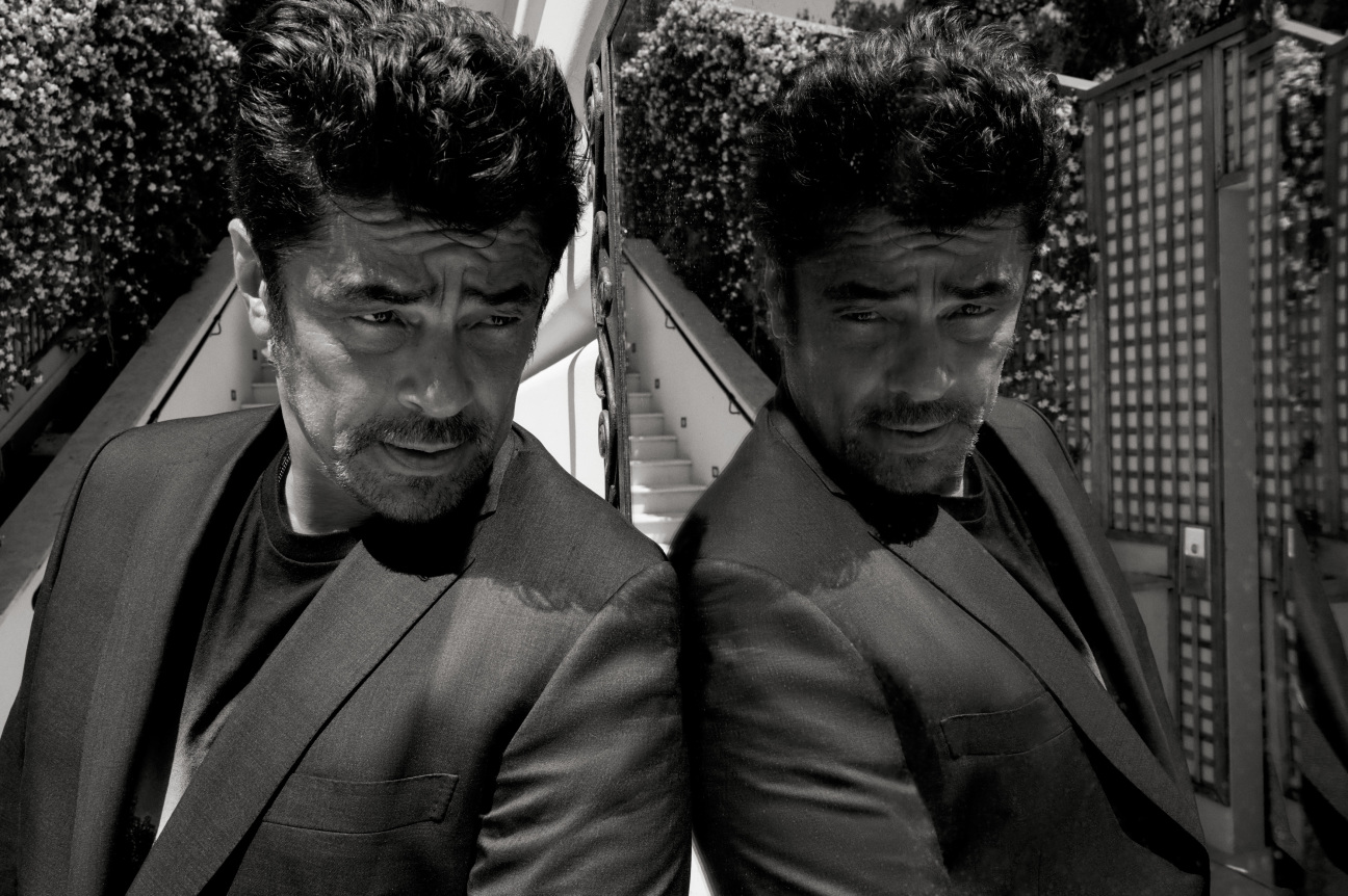 benicio-del-toro-cultured
