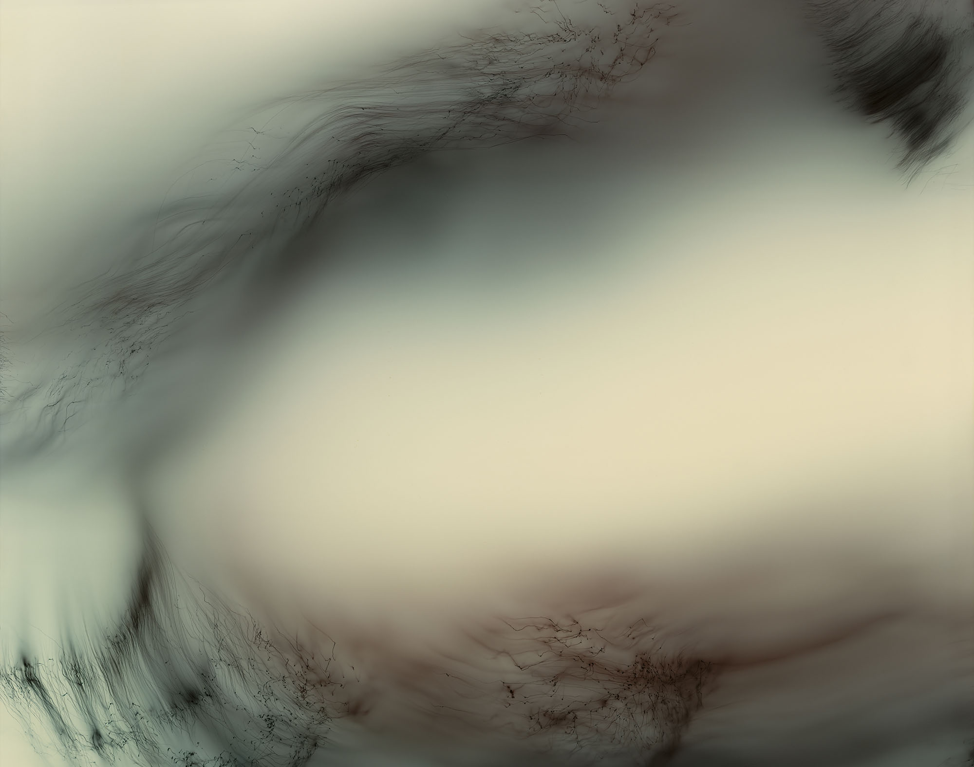Wolfgang Tillmans Freischwimmer 153