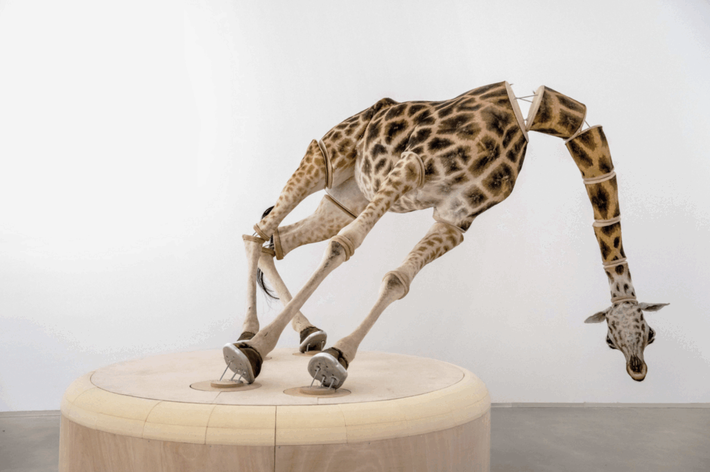 julius-von-bismarck-the-elephant-in-the-room-giraffe