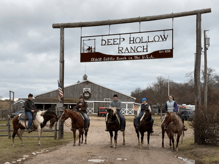 Deep Hollow Ranch, Hamptons, Montauk, syre barn, Mulford, the ranch