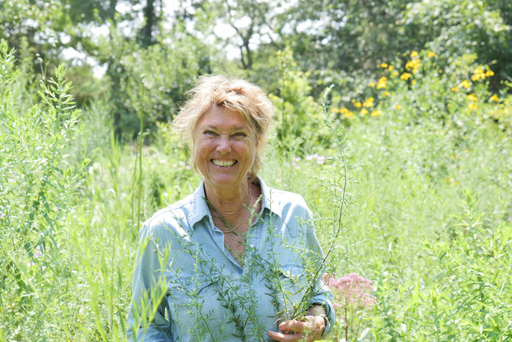 Edwina Von Gal, East End, Hamptons