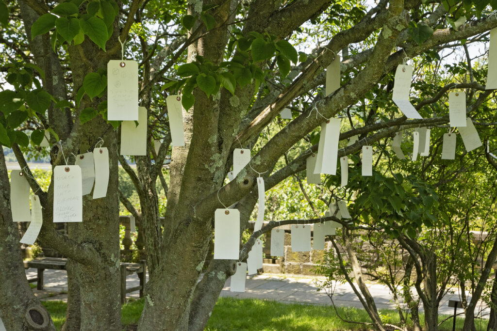 Yoko-ono-tree