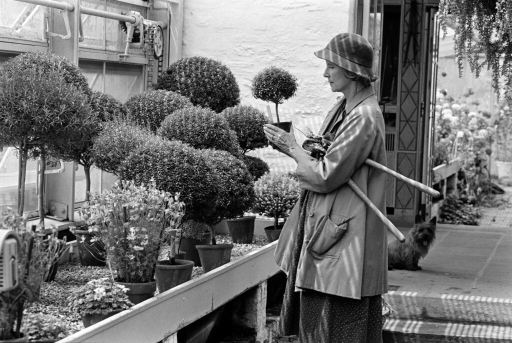 Portrait of Bunny Mellon in 1982