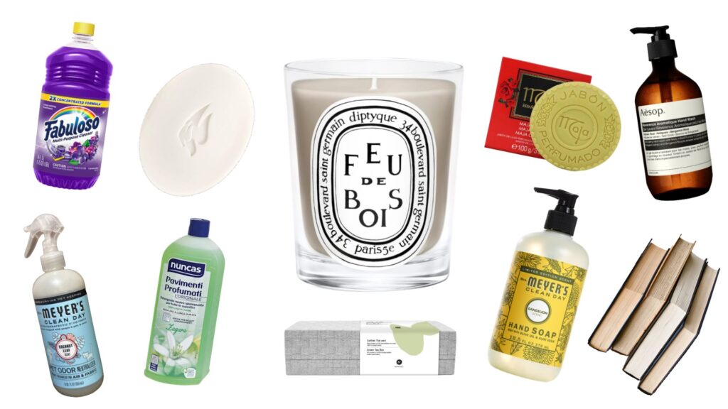 Perfume and Fragrance