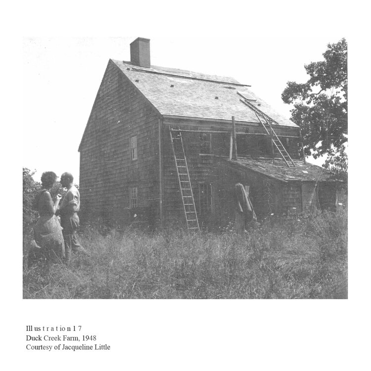 Robin and Stephen, east end, photography, Jackson pollock, Duck Creek Farm