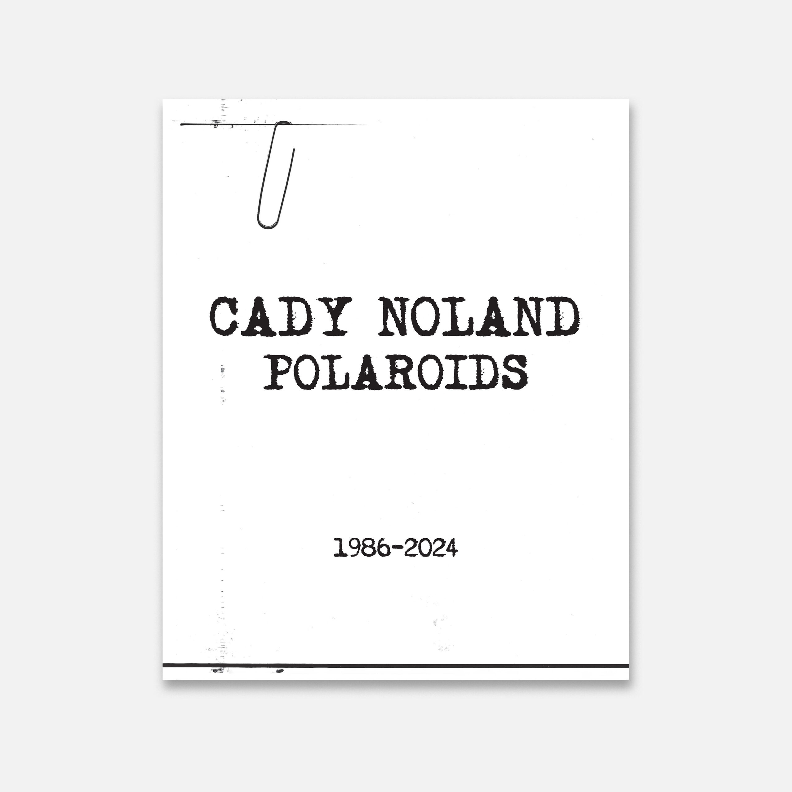 Cady Noland, Polaroids