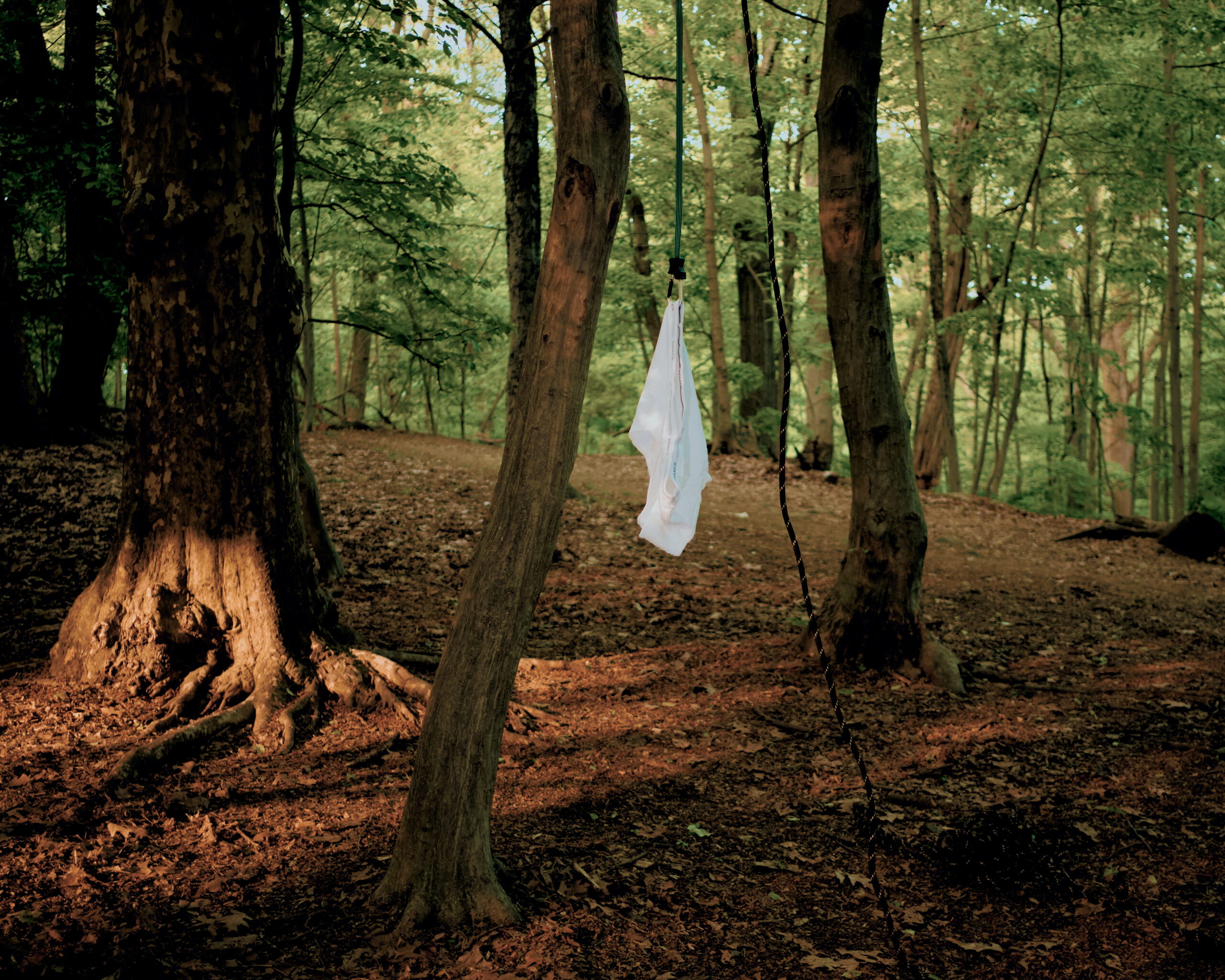 photography by Michael Wolever