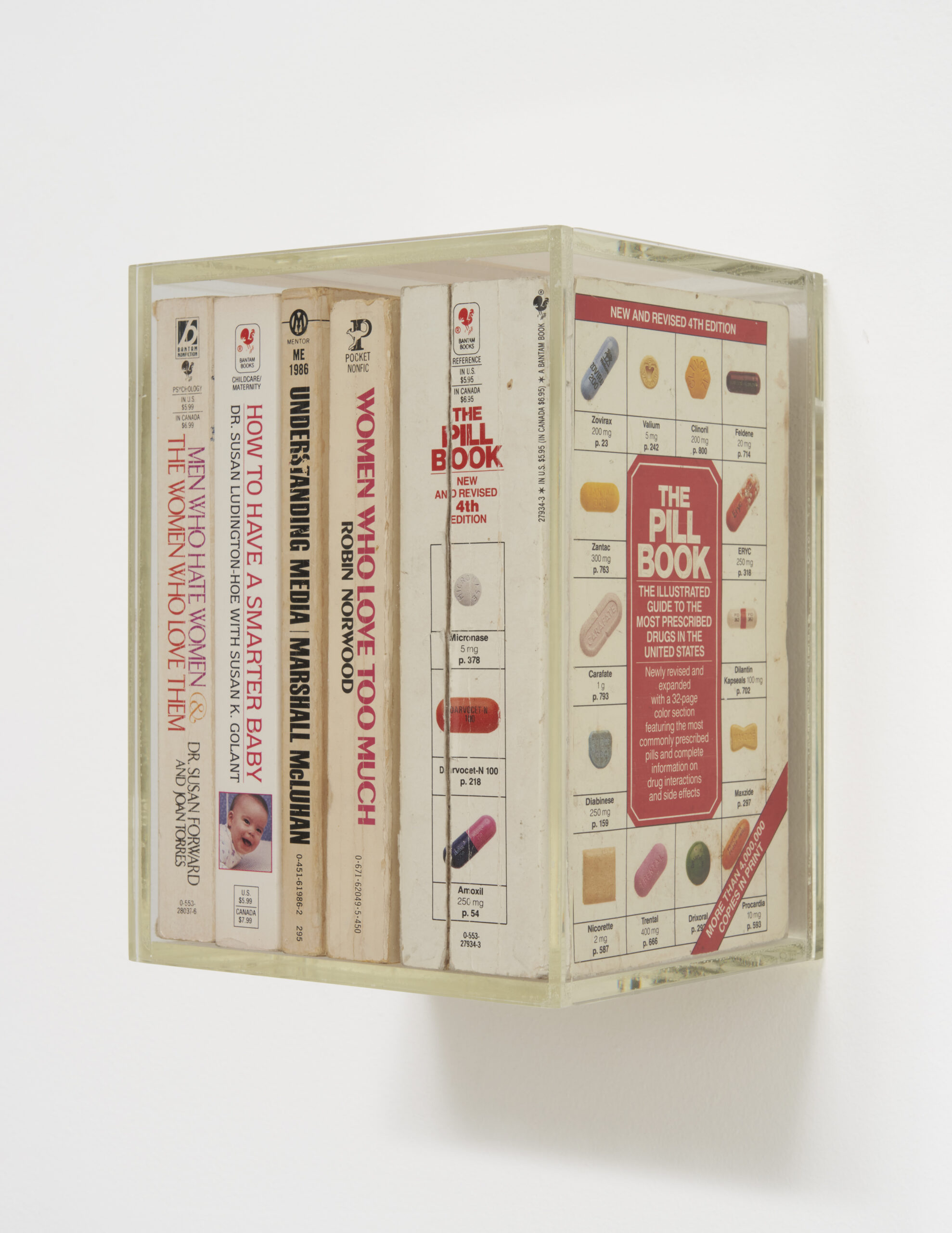 Nayland Blake, Untitled (Men Who Hate Women & the Women Who Love Them, How to Have a Smarter Baby), 2001. 