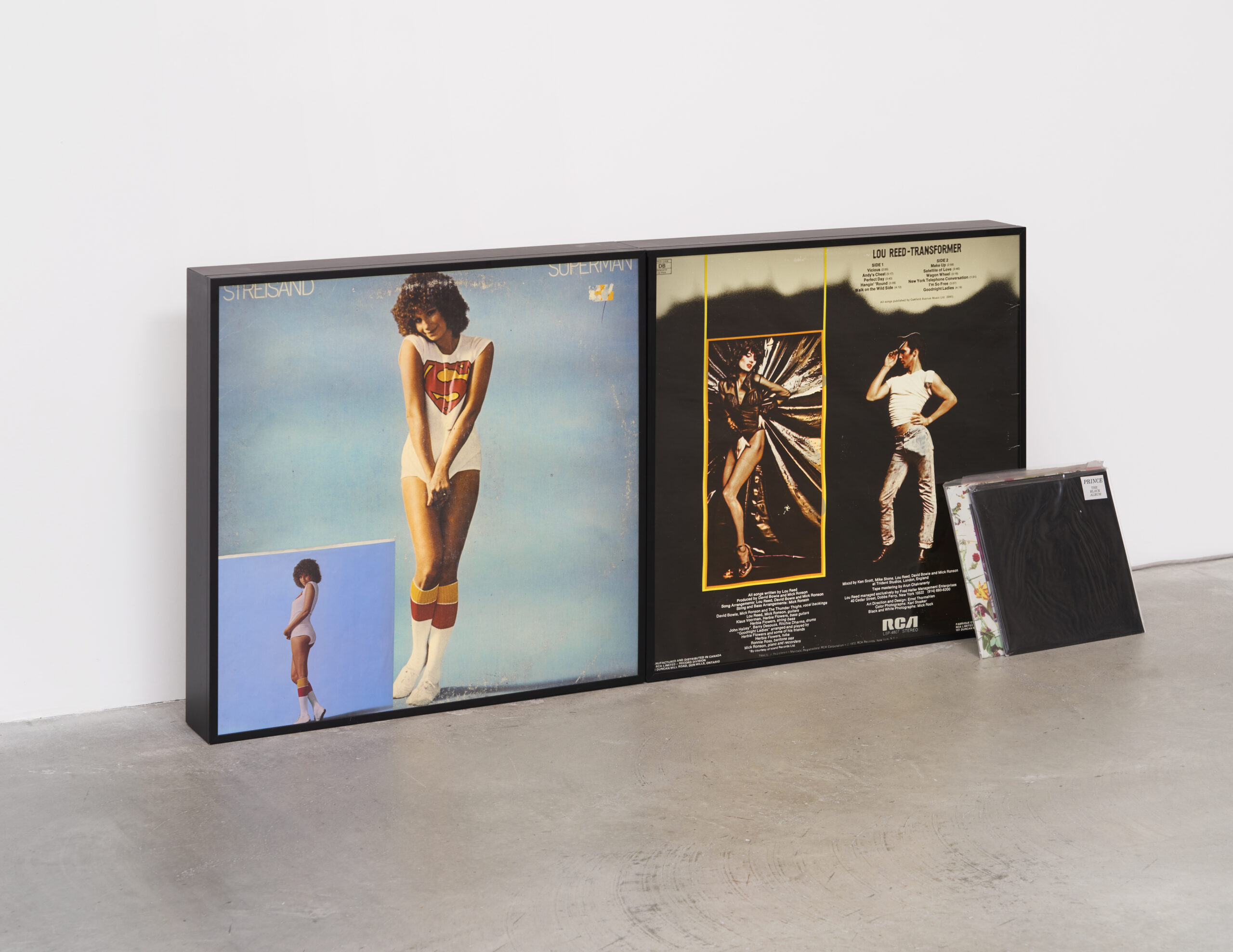 Nayland Blake, Controversy 1972-1977-1982, 1993. 