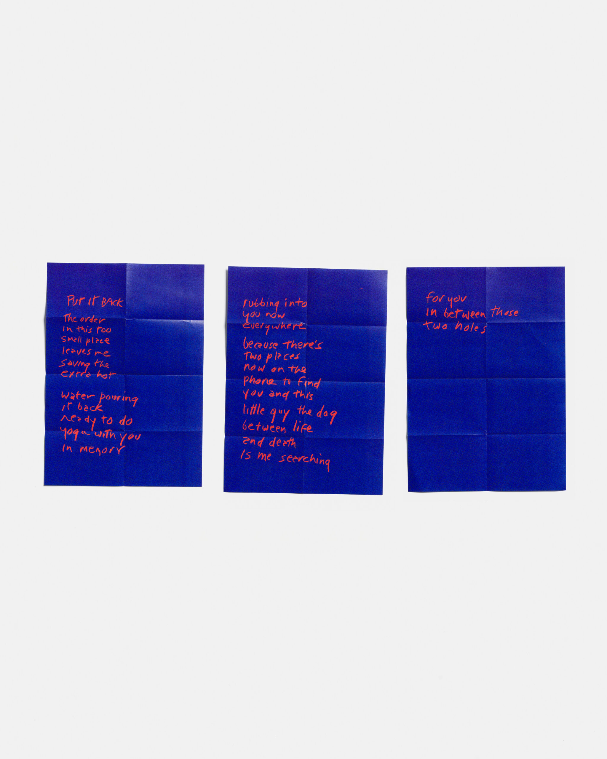 Eileen Myles, Put It Back, 2025, poetry