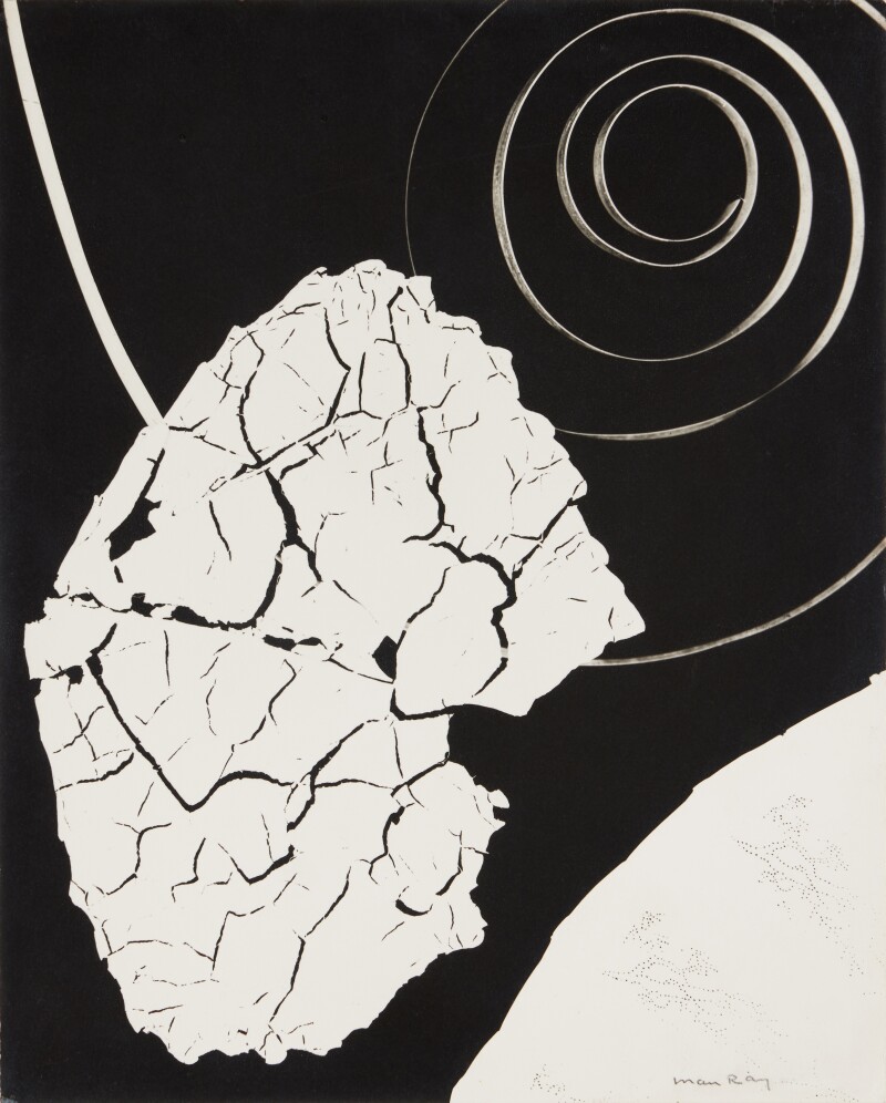 Man Ray, Untitled (Rayograph with Leaf and Coil), 1943