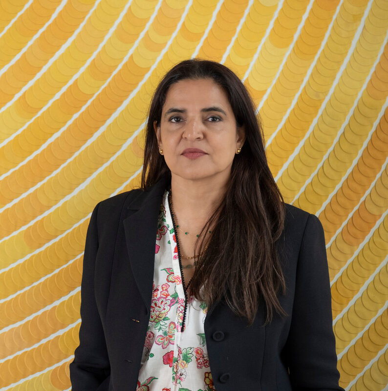 Portrait of Bharti Kher by Jonty Wilde, Bharti Kher, Perrotin, Paris, Exhibition, Painting