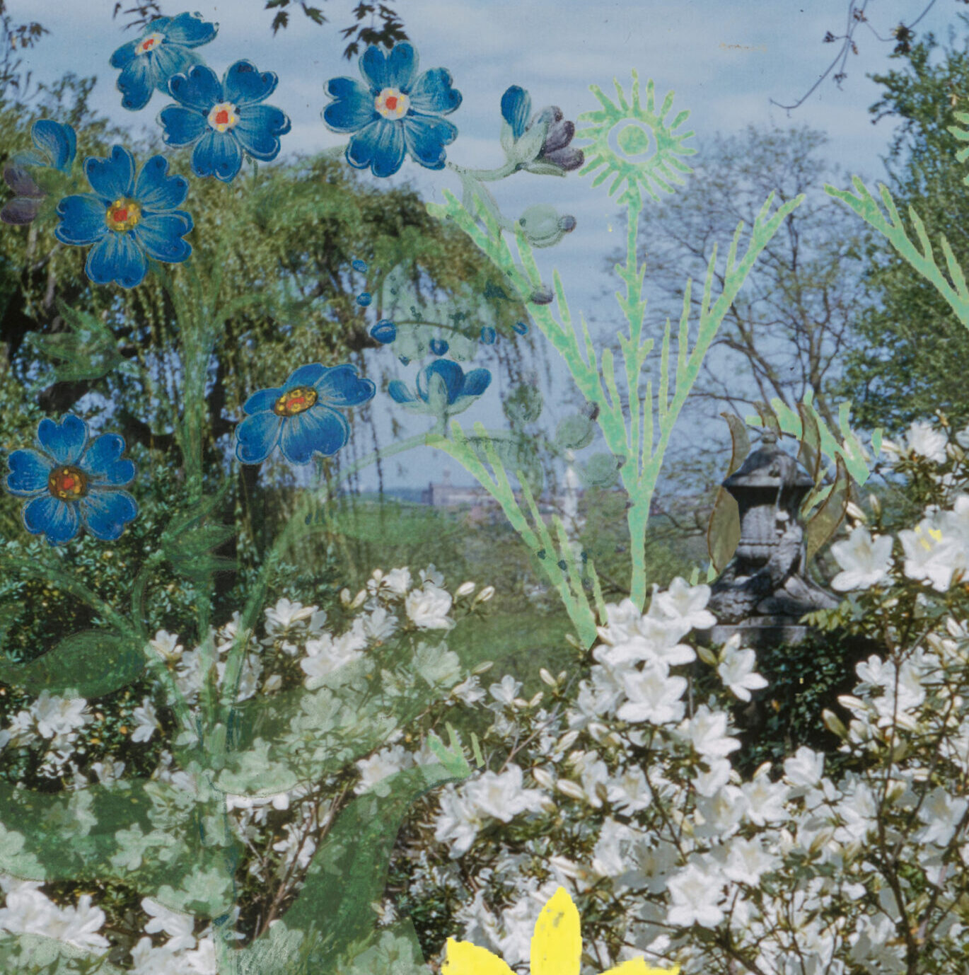 Illustration by Erin Knutson. Dumbarton Oaks; Photography by Virginia Hollerith and courtesy of the Archives of American Gardens, Smithsonian Institution.
