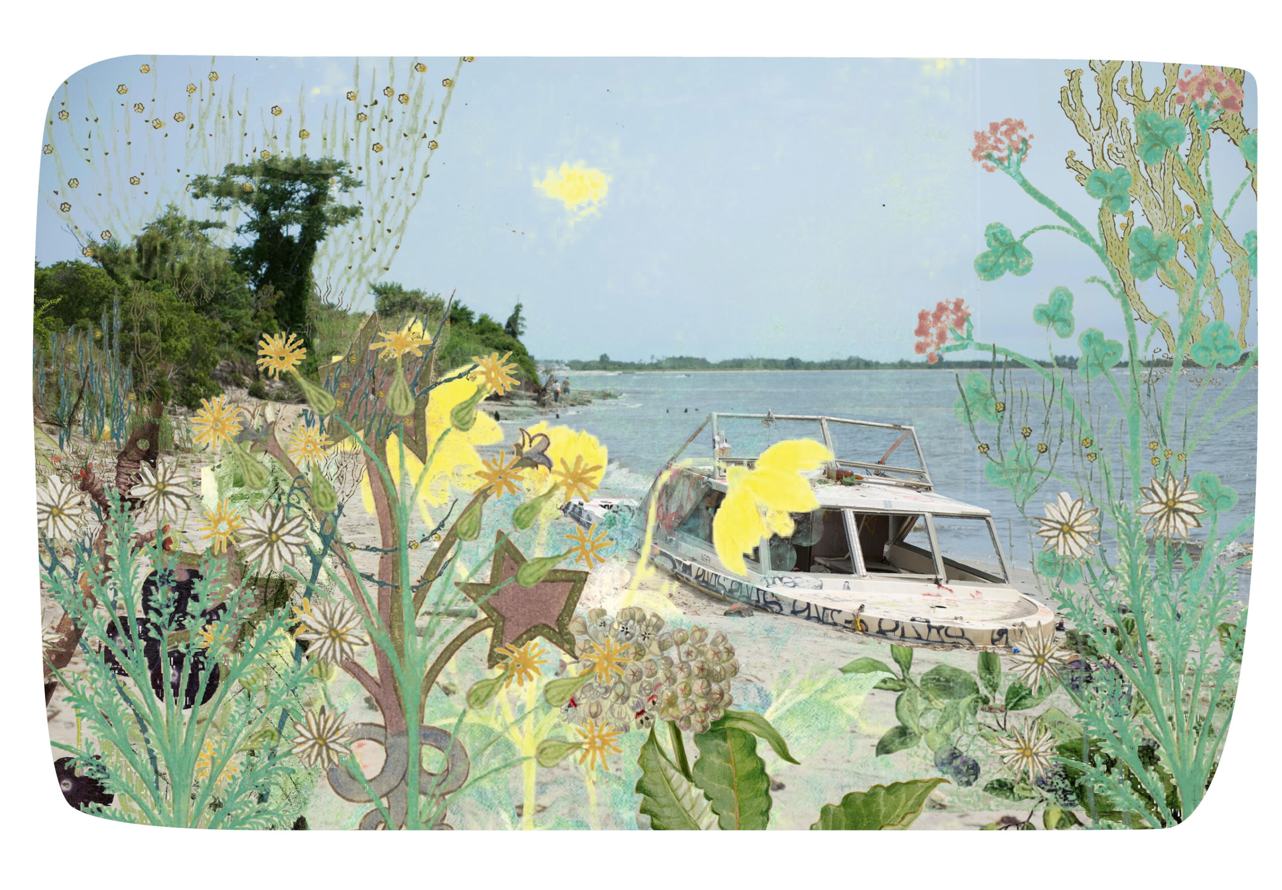 Dead Horse Bay New York garden