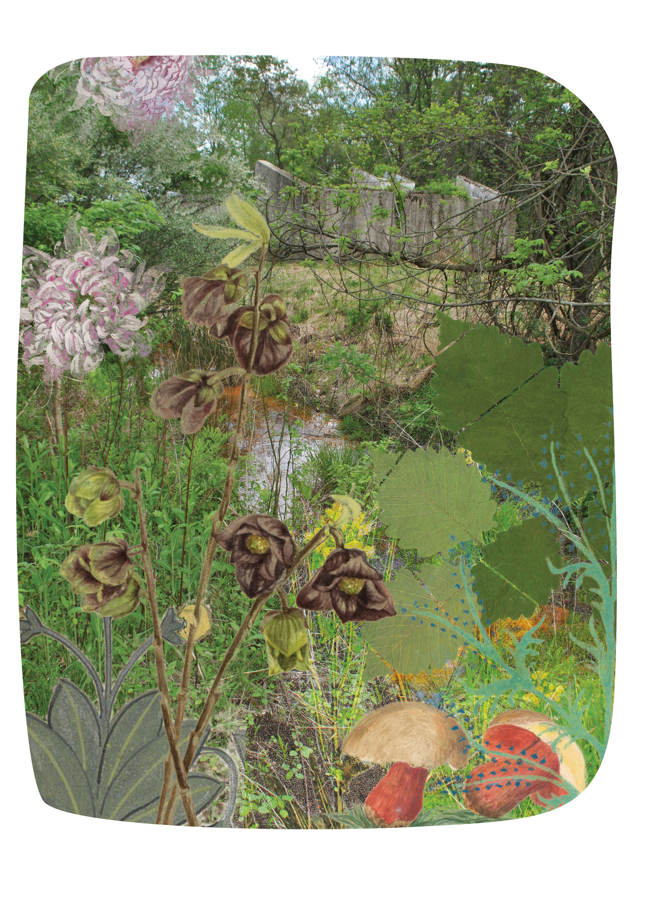 Yellow Springs, 2014