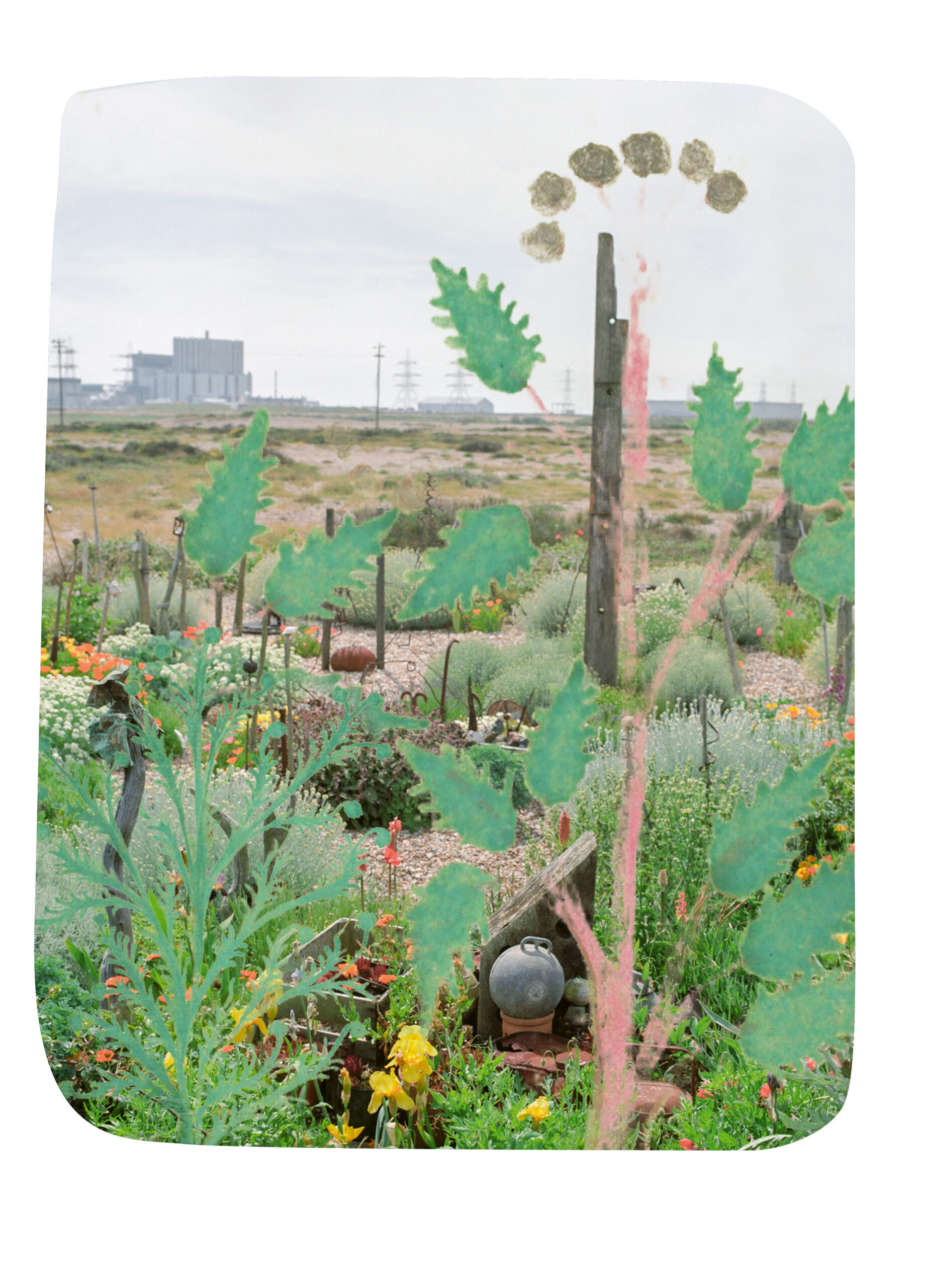 Derek Jarman's Garden, 1990