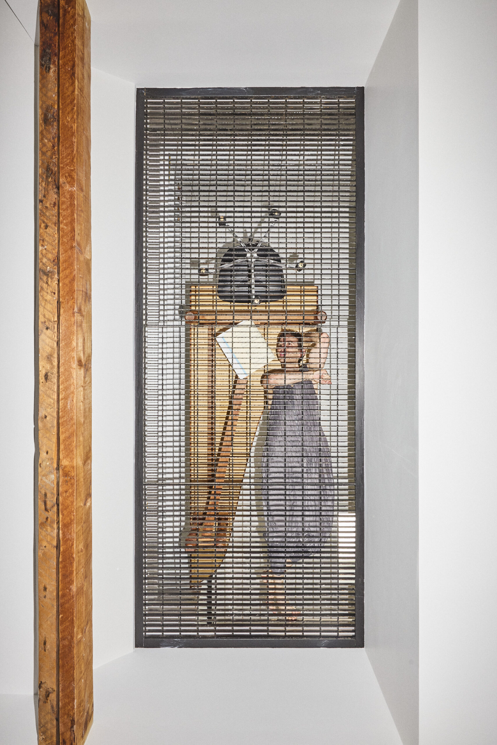 Anthony Ross Costanzo at home in New York