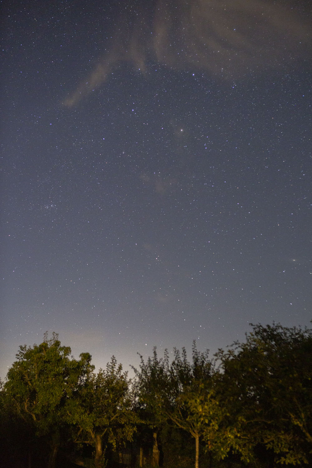 The meadow by Grinn Permaculture honors the natural flora of the region.