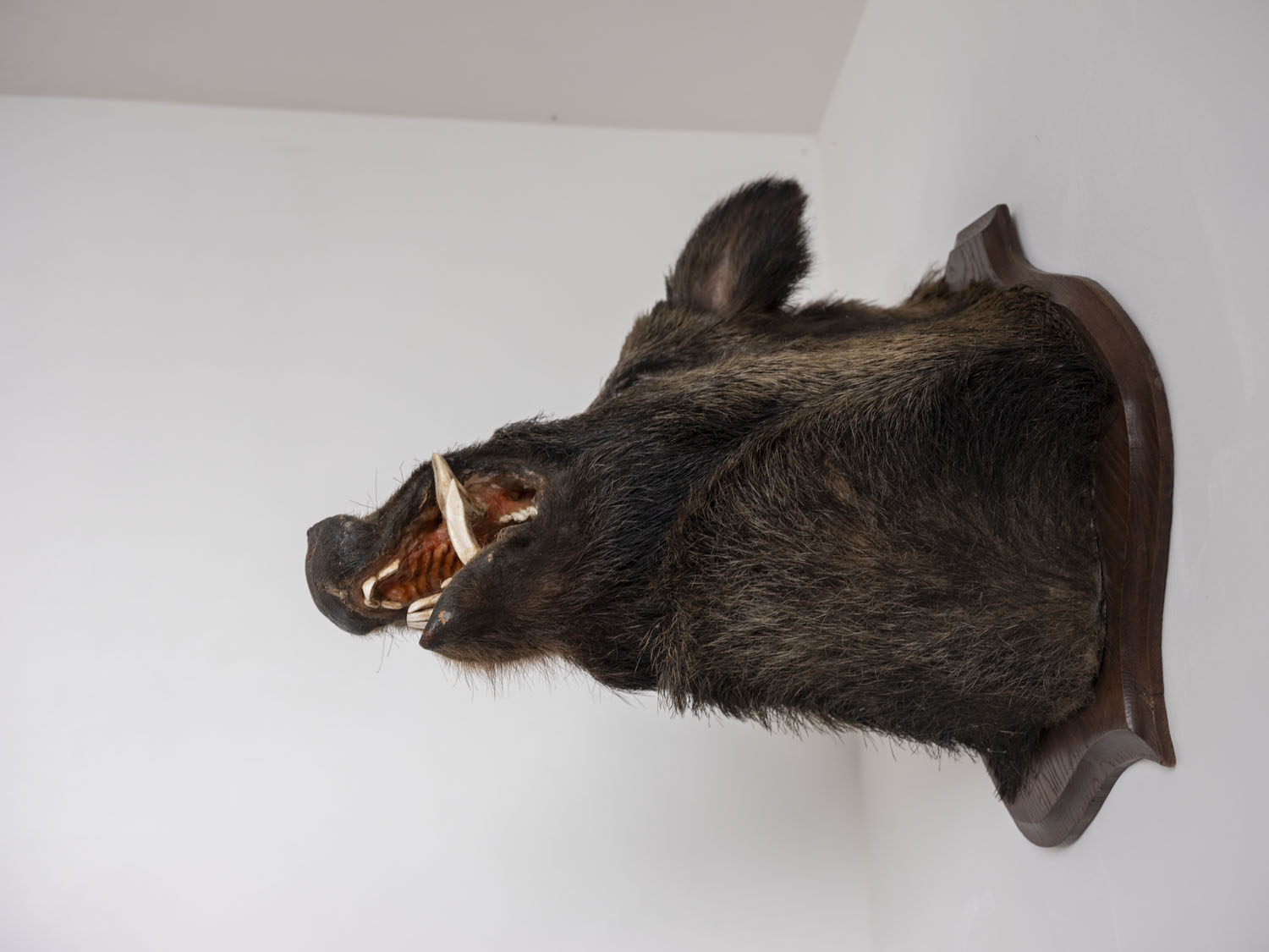 Axelle de Buffévent\\\