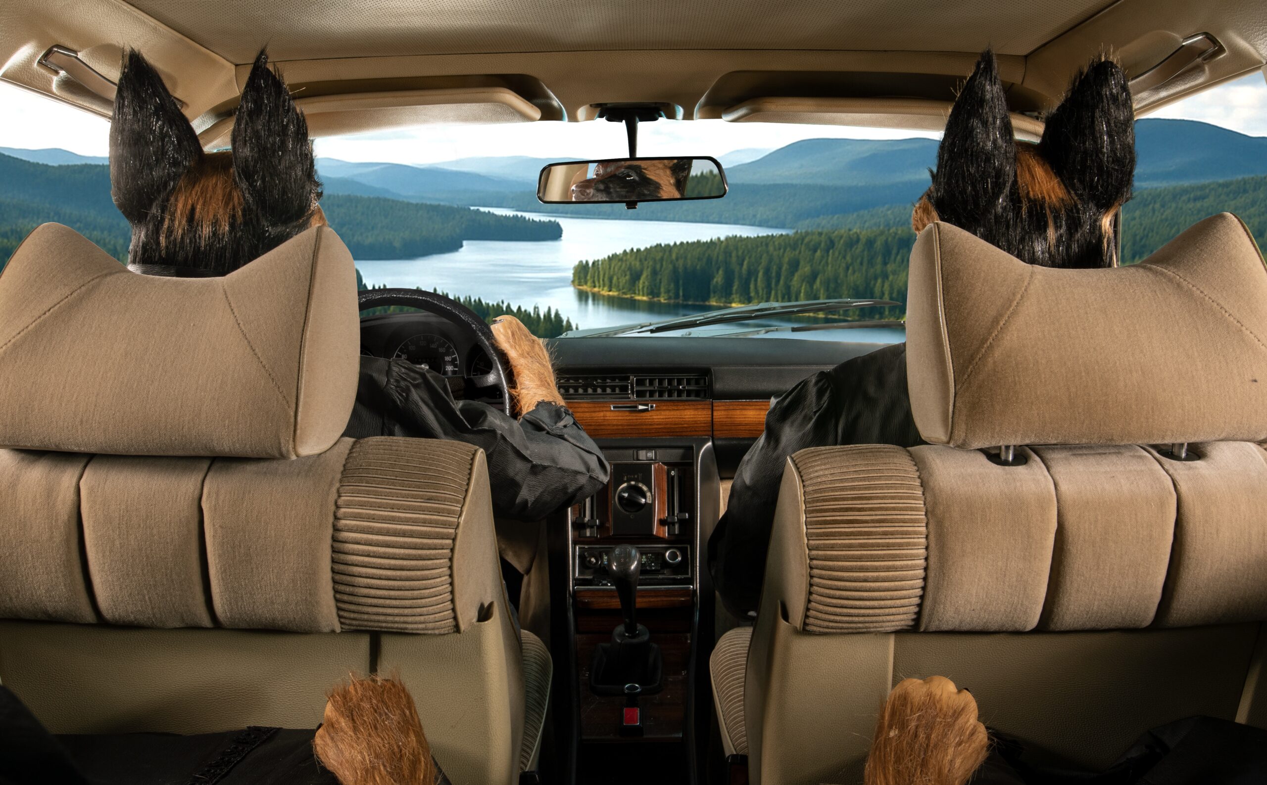 Magma, Bottega Veneta