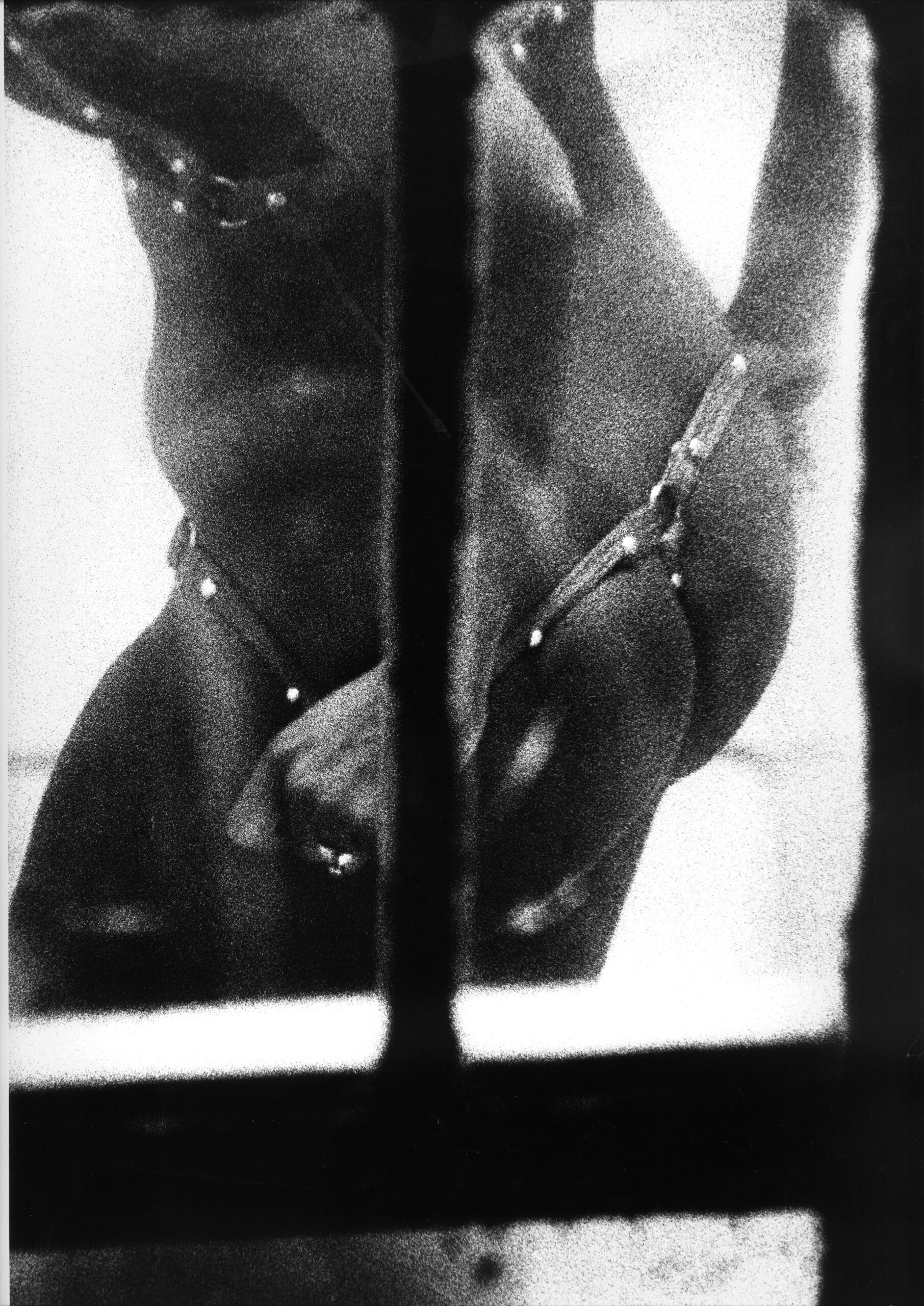 Magma, Bottega Veneta