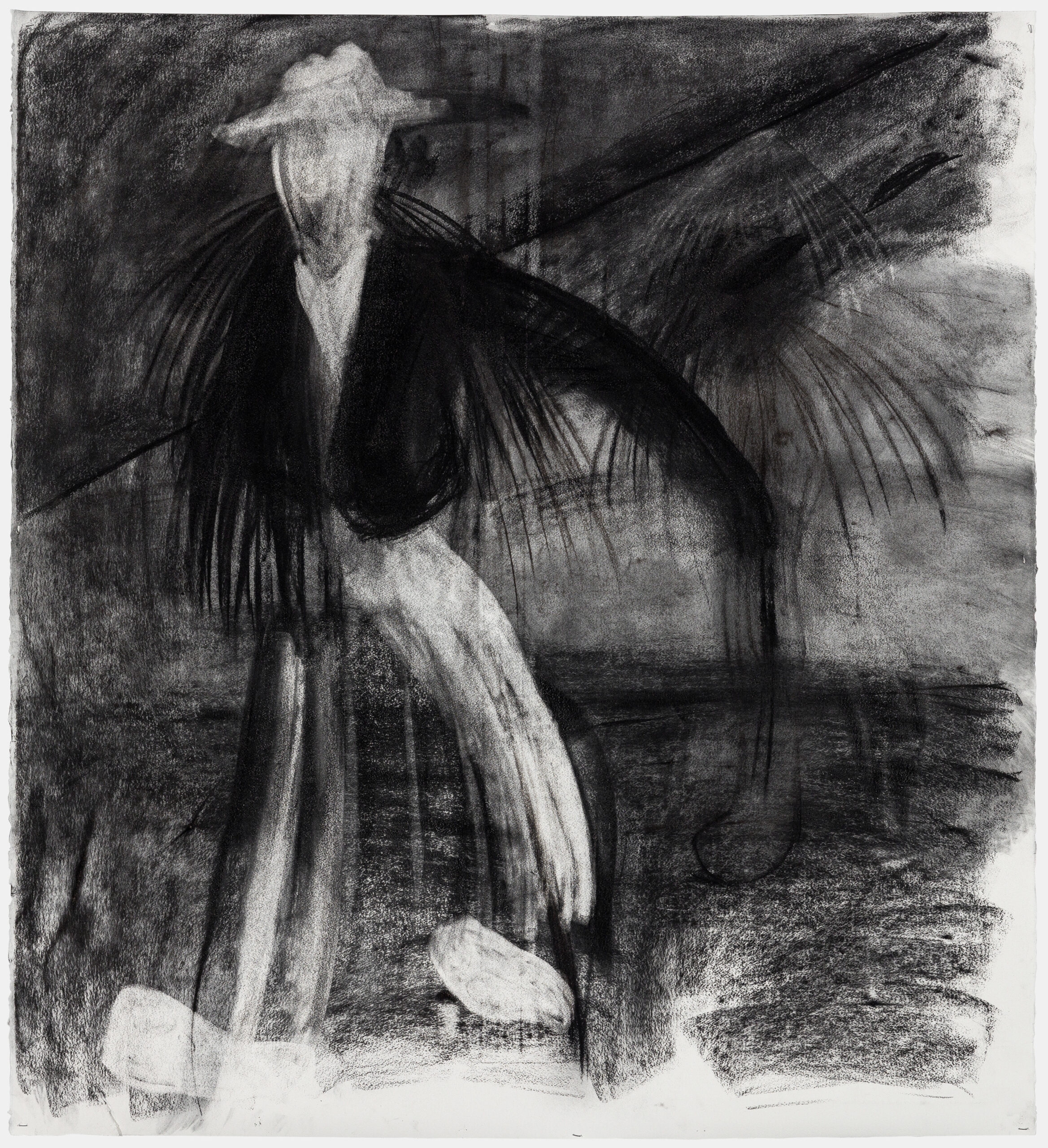 Magma, Bottega Veneta