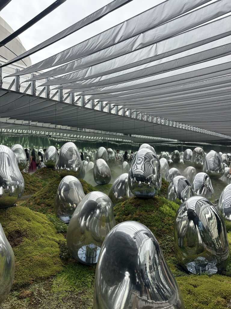 Teamlabs exhibit in Tokyo 