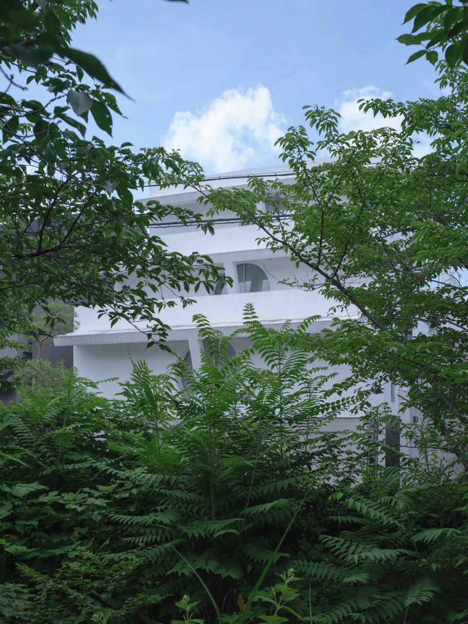 Photography by Takashi Homma, Johnston Marklee, Kyoto, Mount Daimonji-yama, Toshiya Ogino, Tea Room, Nakamura Sotoji Komuten