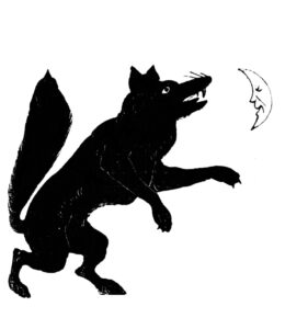 Illustration from R. Shugg & Co. New York, Mister Fox, 1879