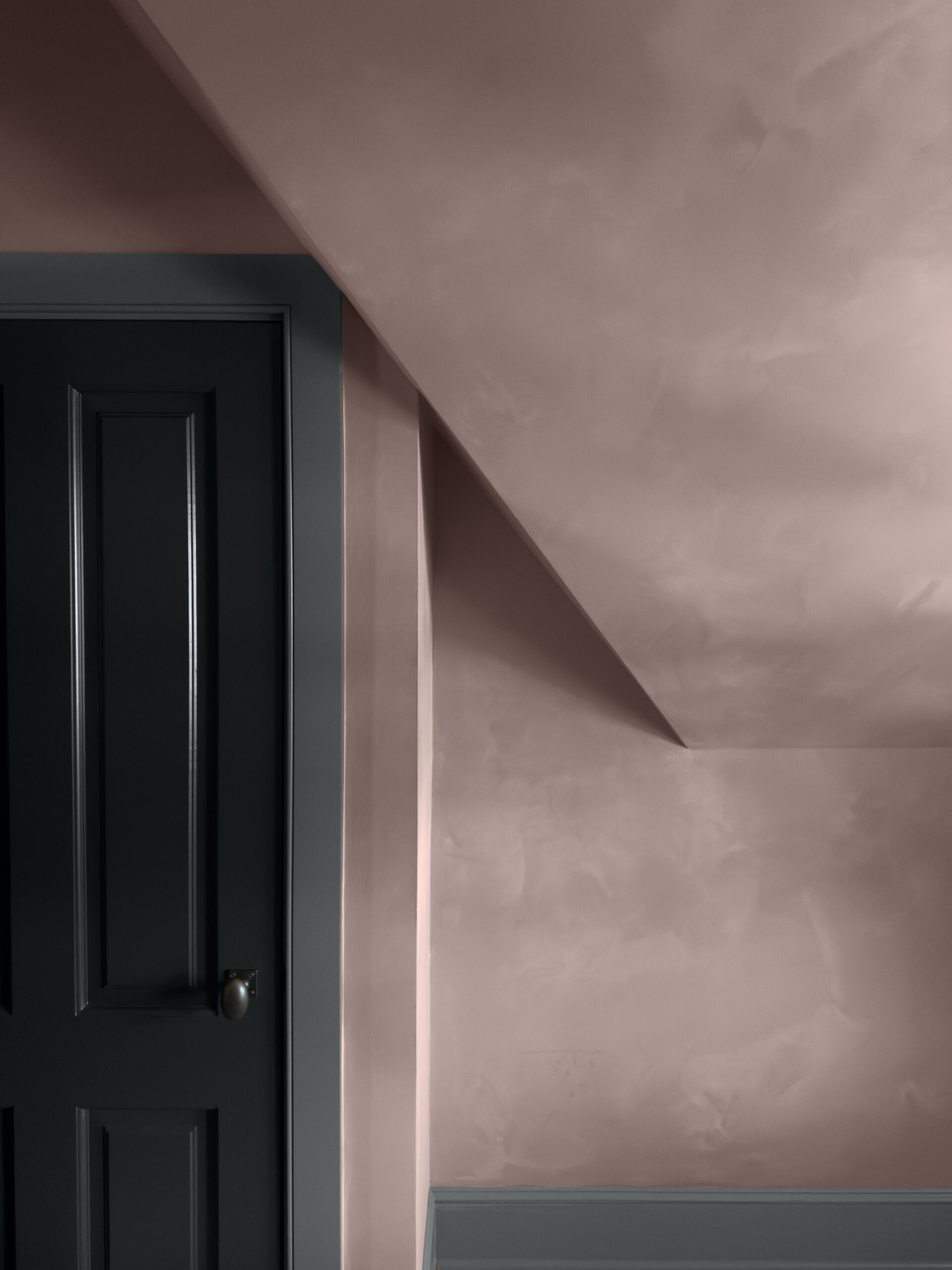 Douglas Friedman, Rabbit's Tongue, 2025 for Color Atelier