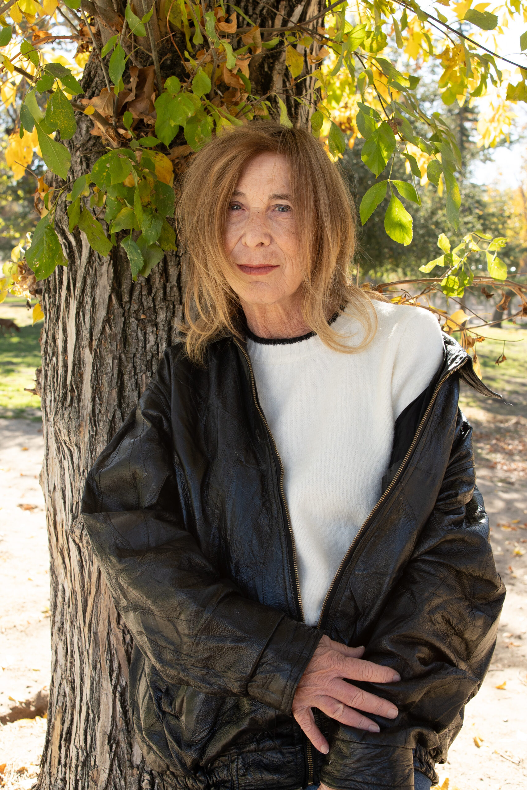 Chris Kraus on Her New Novel