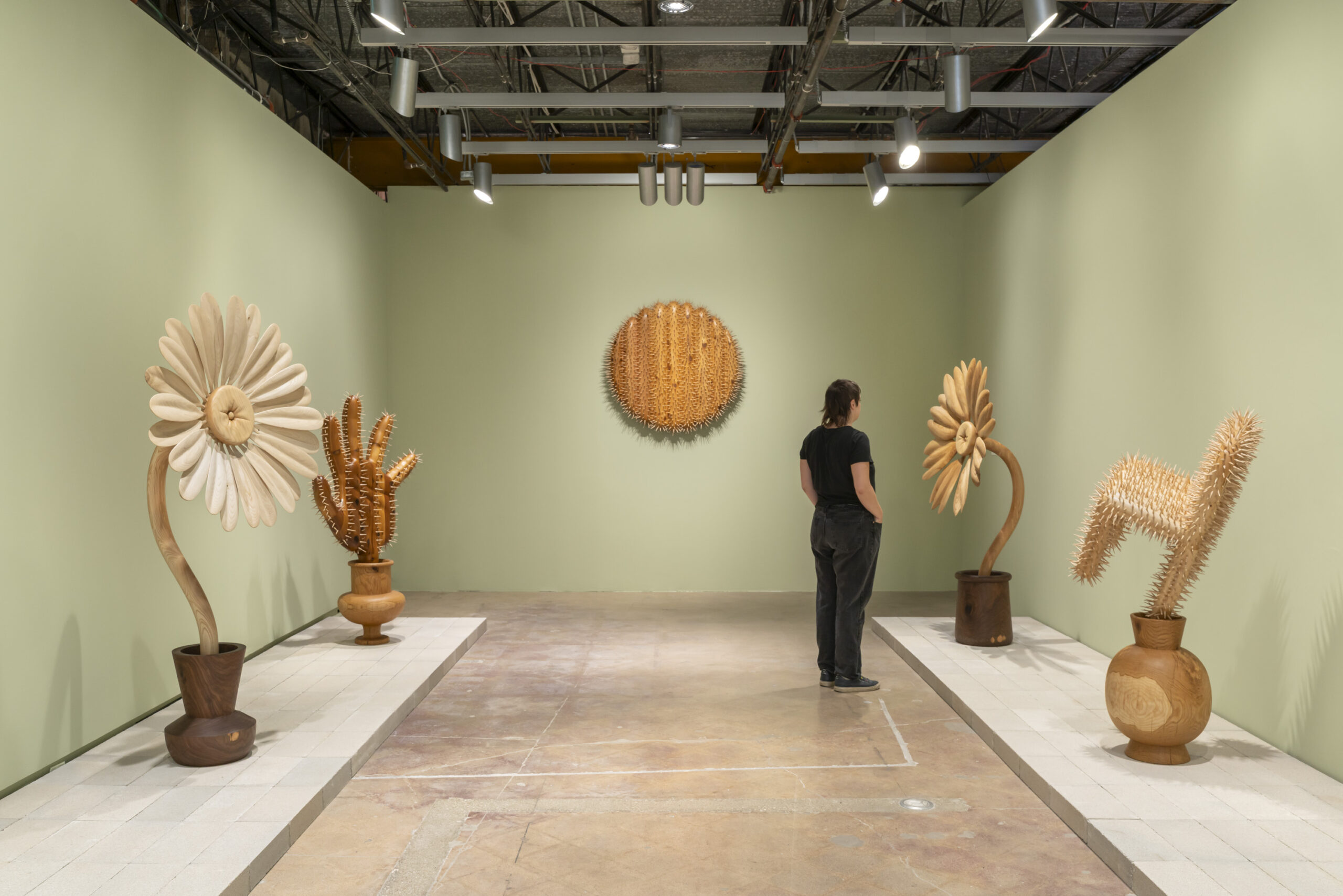 Installation view of "HOST: RAUL DE LARA" presented by the Contemporary Austin