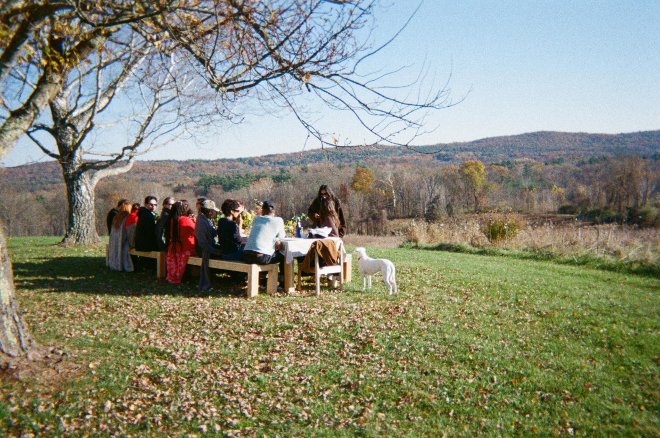 Blanche at lunch, Callisto Farm, Hudson Valley, Woldy Reyes