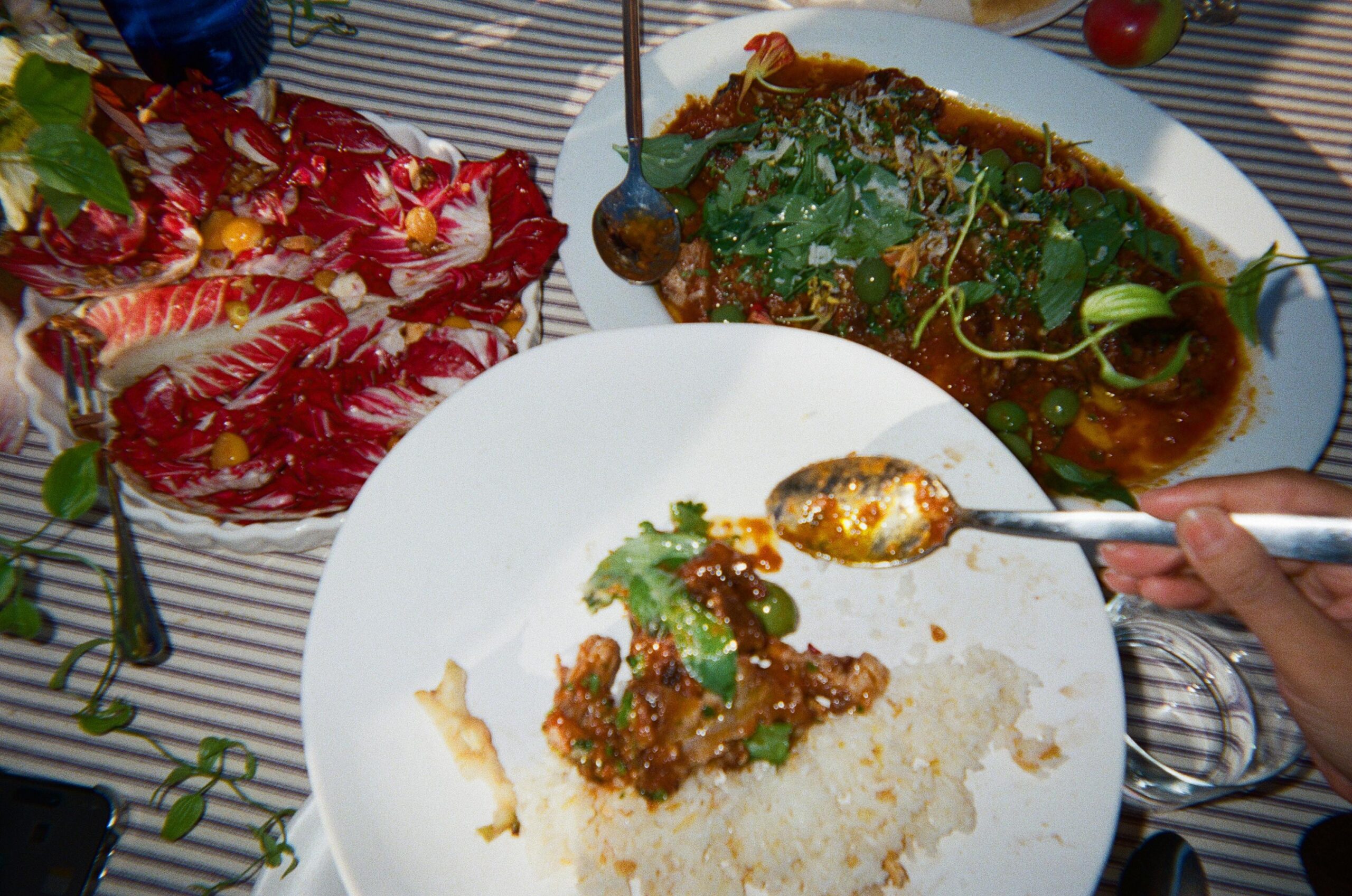 The menu at lunch, Callisto Farm, Hudson Valley, Woldy Reyes
