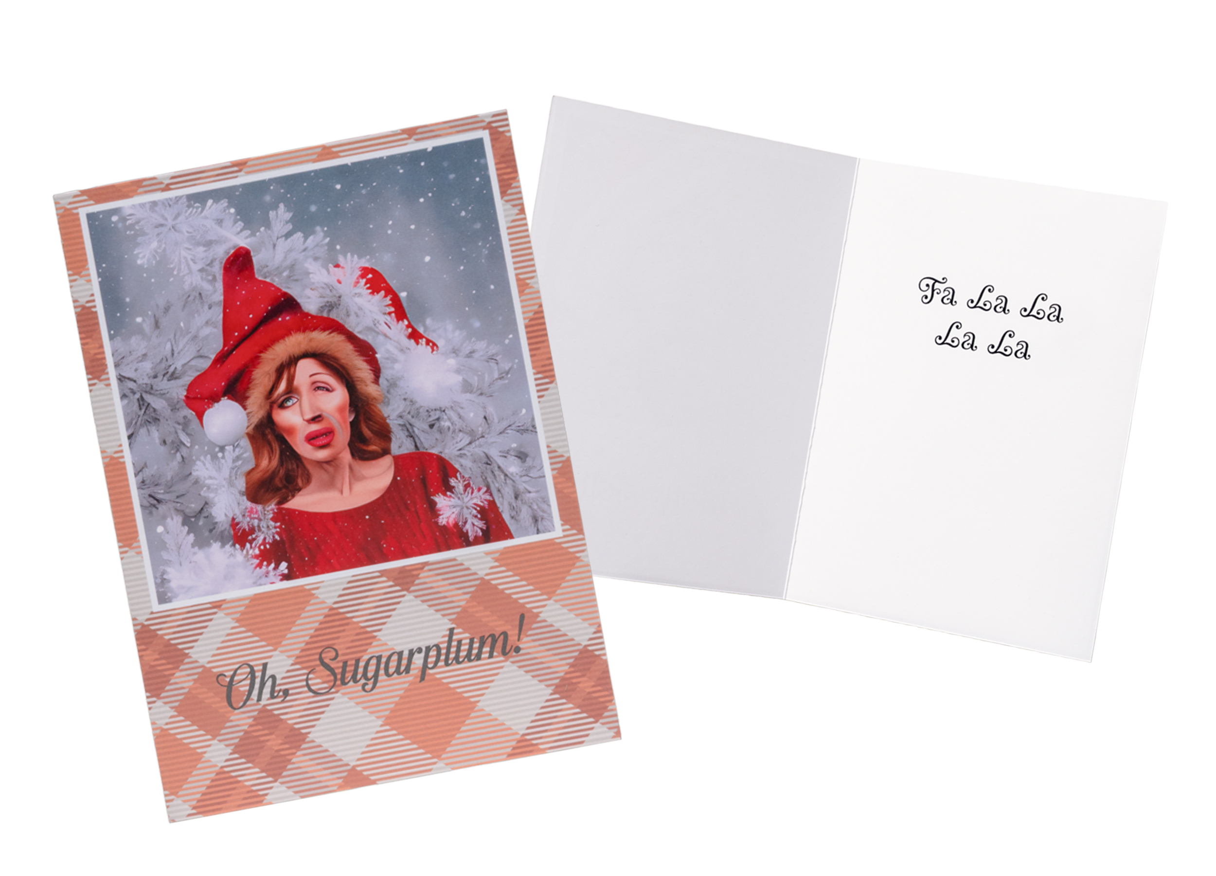 A plaid holiday card featuring a portrait of photographer Cindy Sherman wearing a Santa hat with distorted facial features.