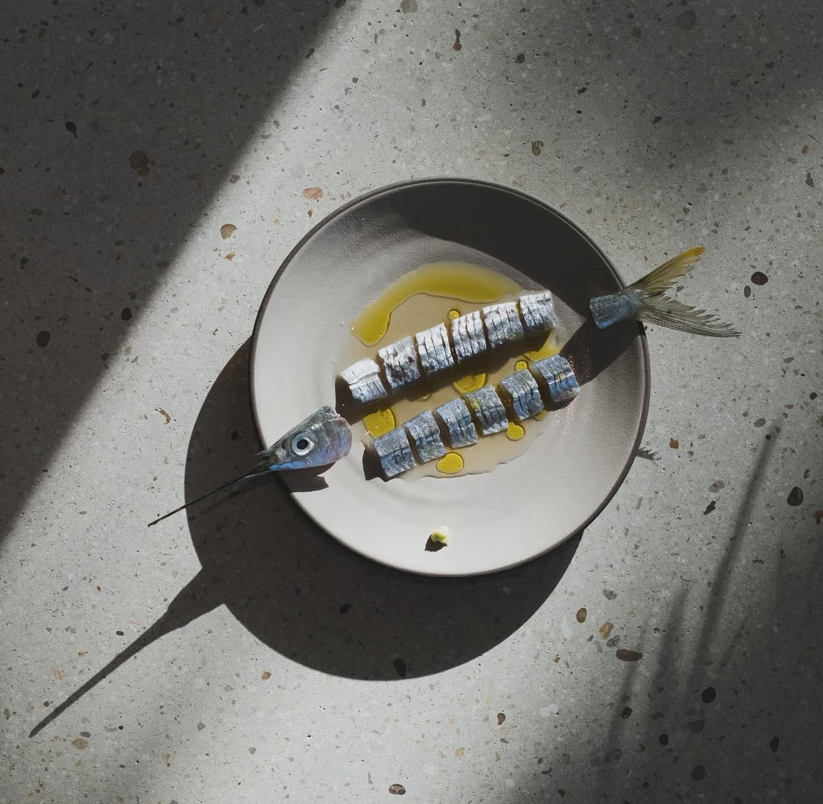 Key West Ballyhoo with White Soy Sauce at Recoveco