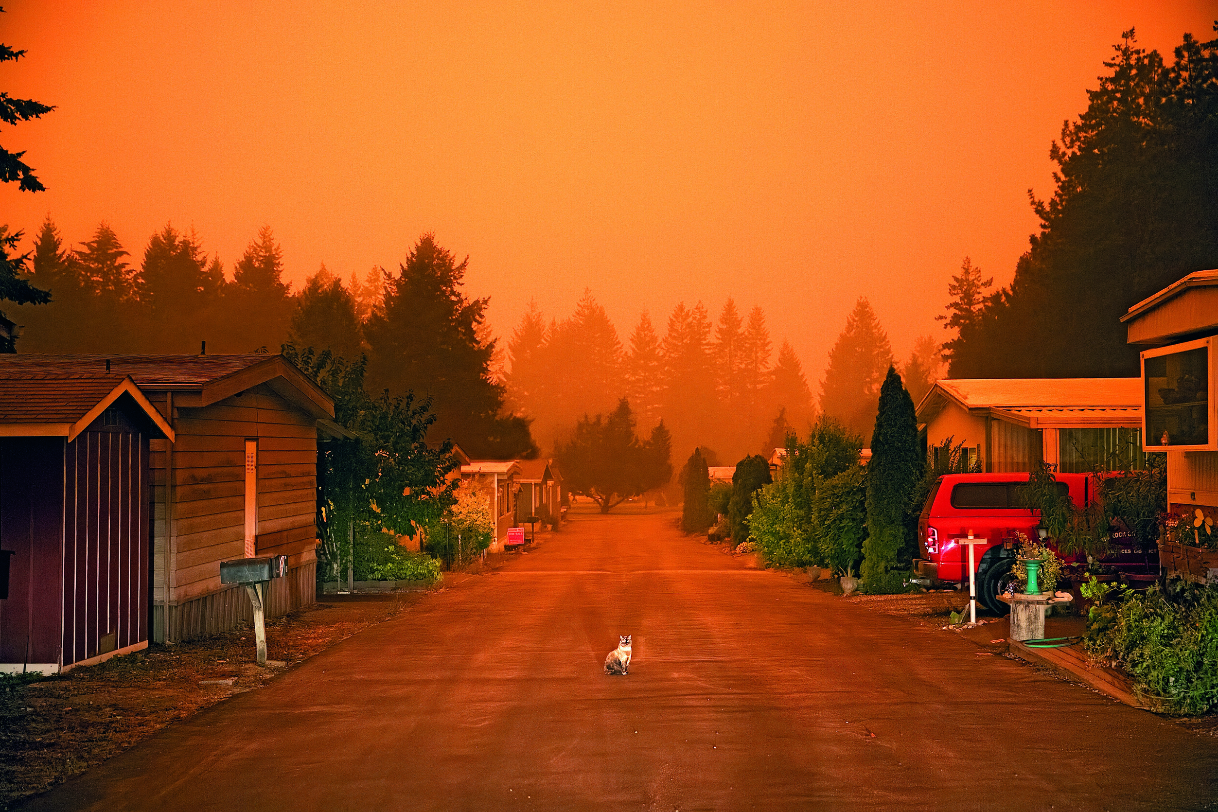 Sinna Nasseri, Hiouchi, California, 2020, Photography courtesy of the artist