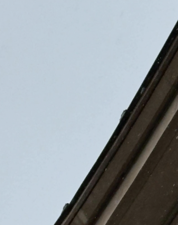 Maxwell Graham Gallery documents the removal of Replacement, 2025, by Cameron Rowland