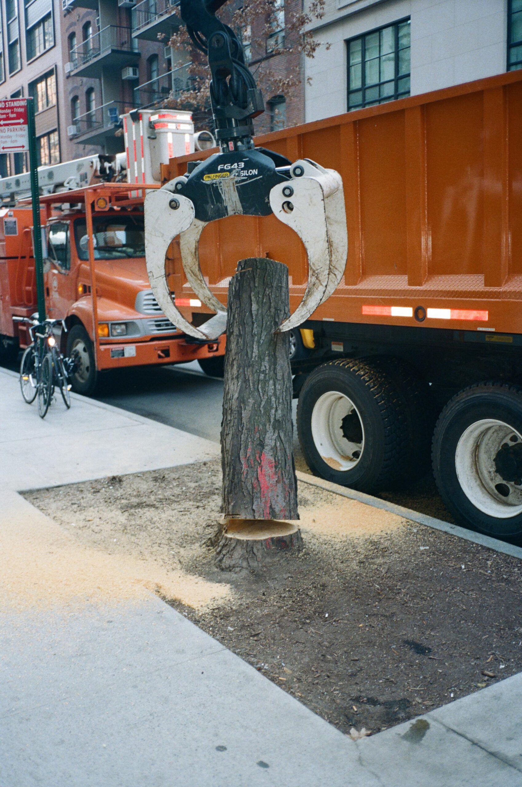 Lele Saveri, Untitled (Verde Grigio), 2014, NYC, Photography courtesy of the artist