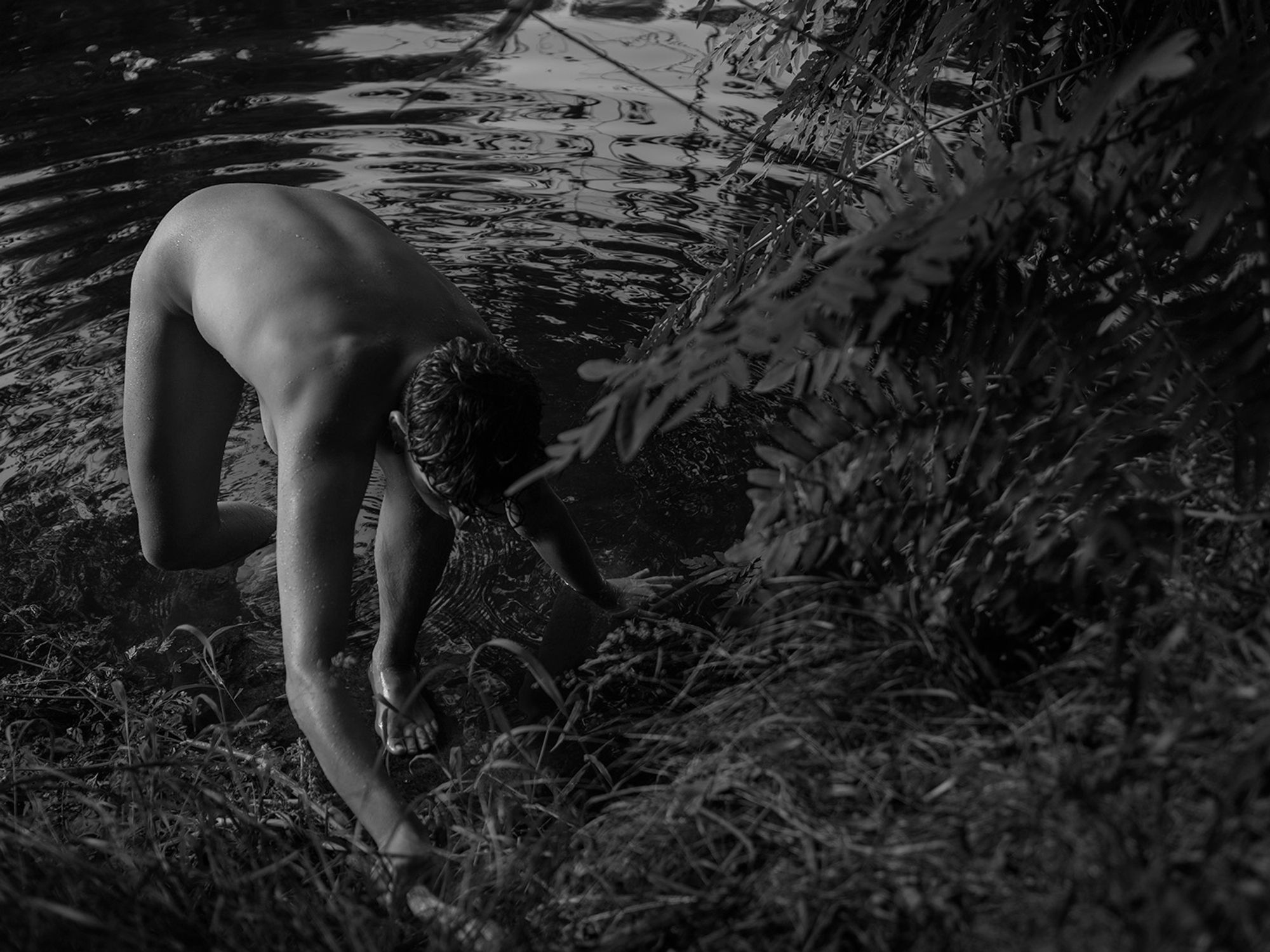 Giancarlo Montes Santangelo, Out of the deluge, 2025