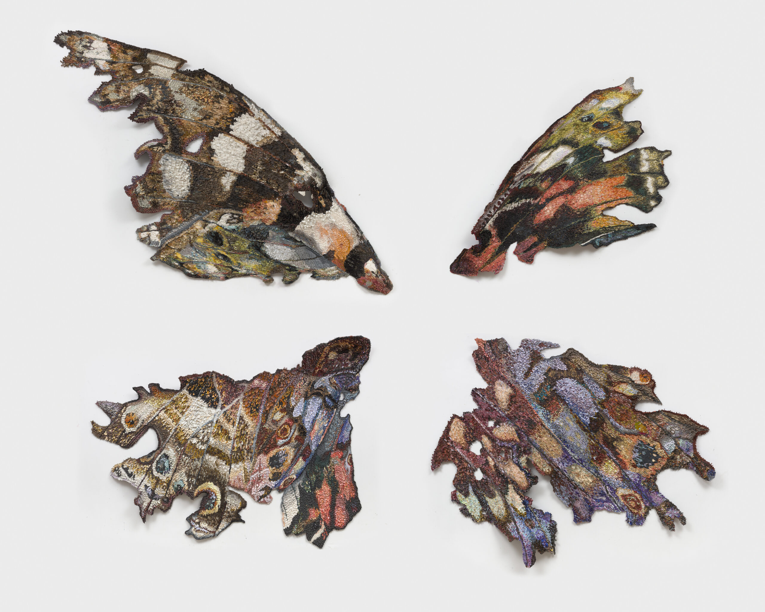 Rebecca Manson, Exploding Butterfly, 2025.