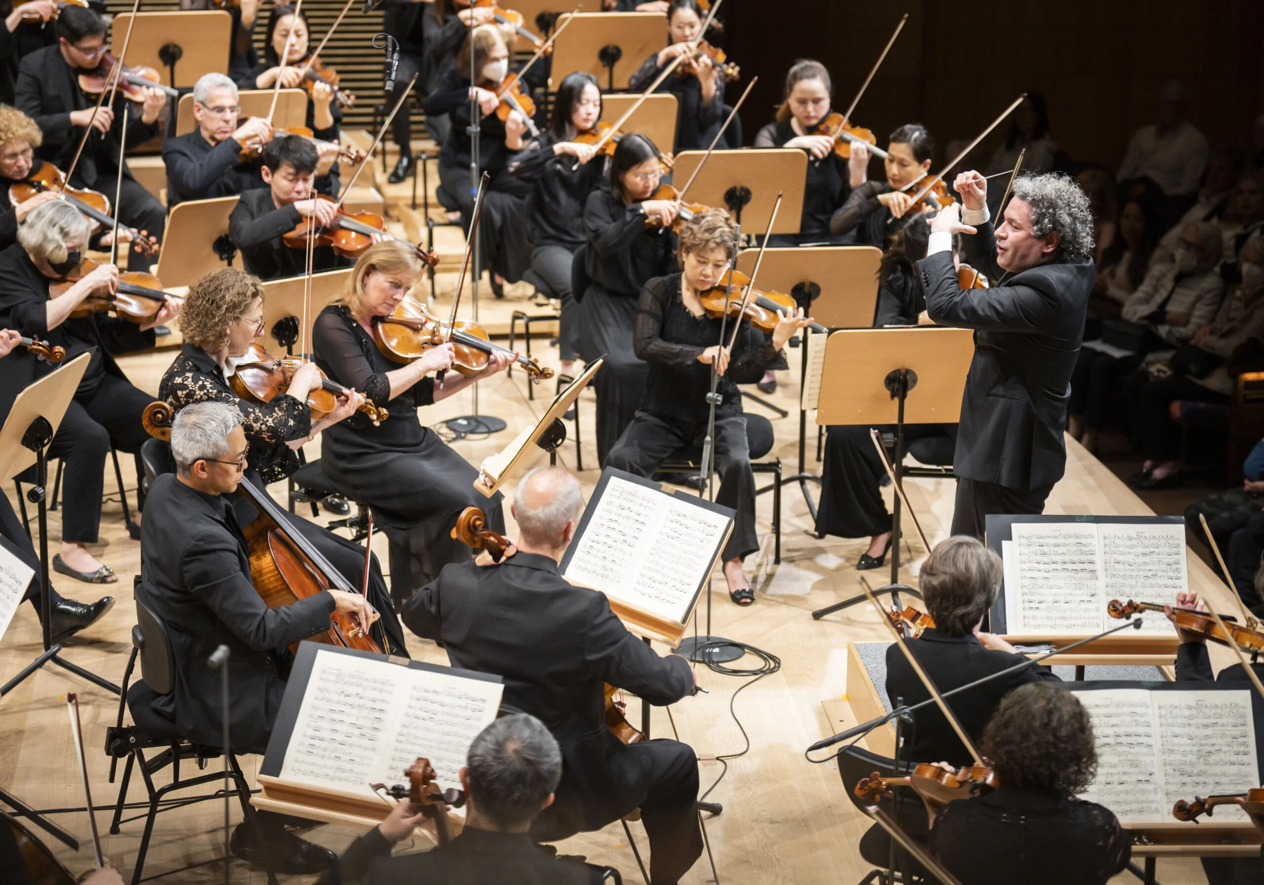 Concert at the New York Philharmonic