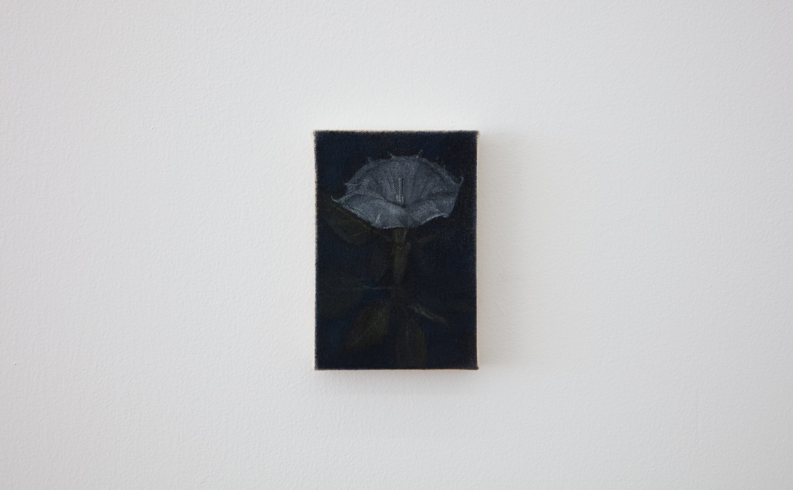 Moonflower by Katelyn Eichwald