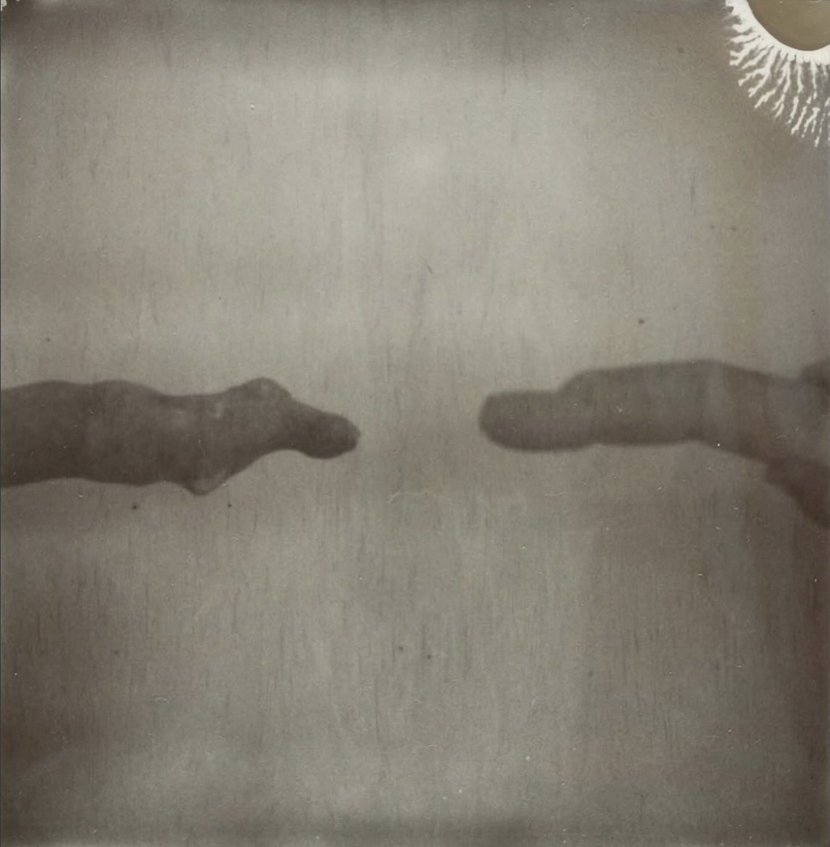 A detail of a photograph by artist Tacita Dean on display at Marian Goodman gallery during Frieze LA 2026.