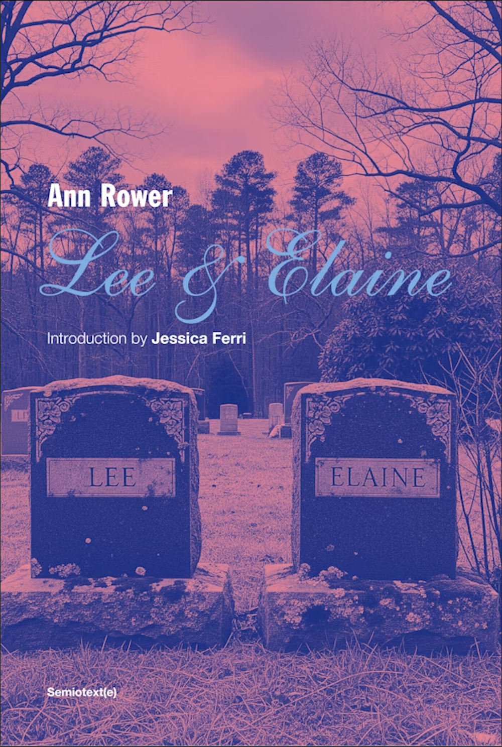 Ann Rower Lee & Elaine book cover