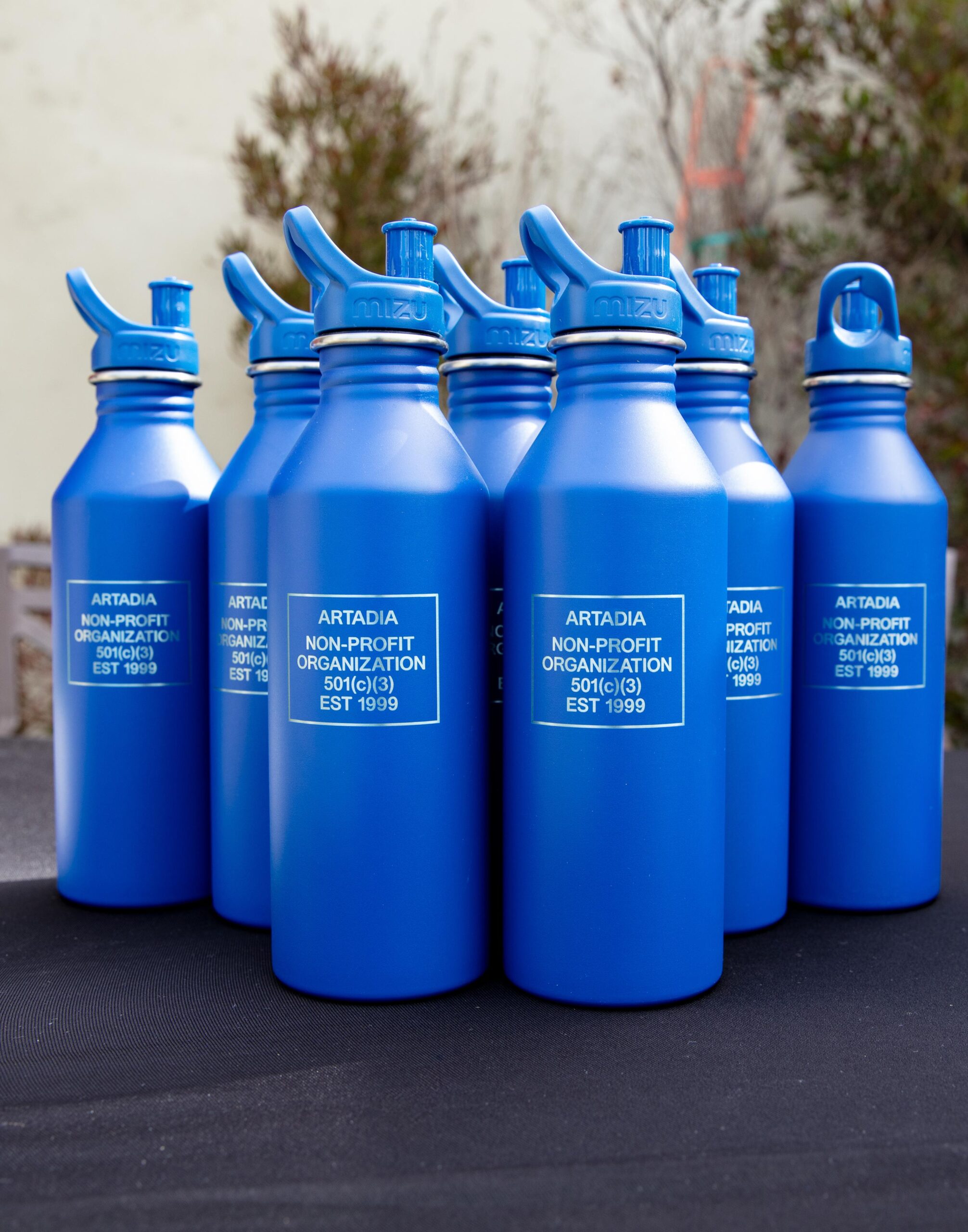 Blue Artadia Water Bottles