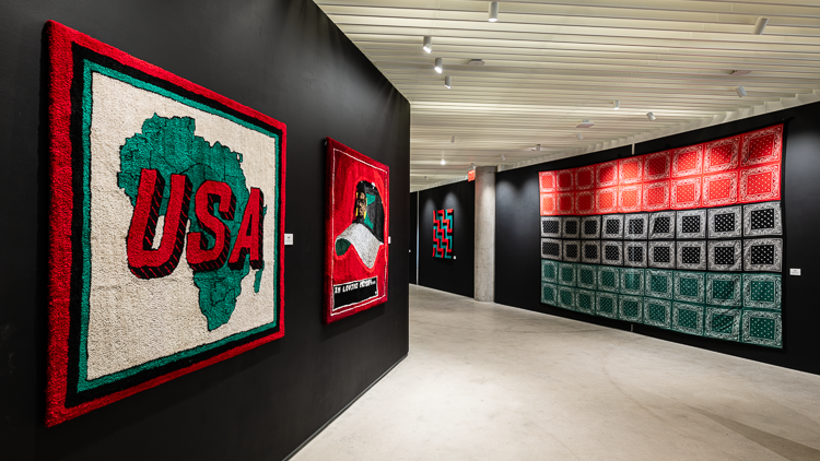 An exhibition view of Shani Crowe: Red, Black, and Green at MOCADA