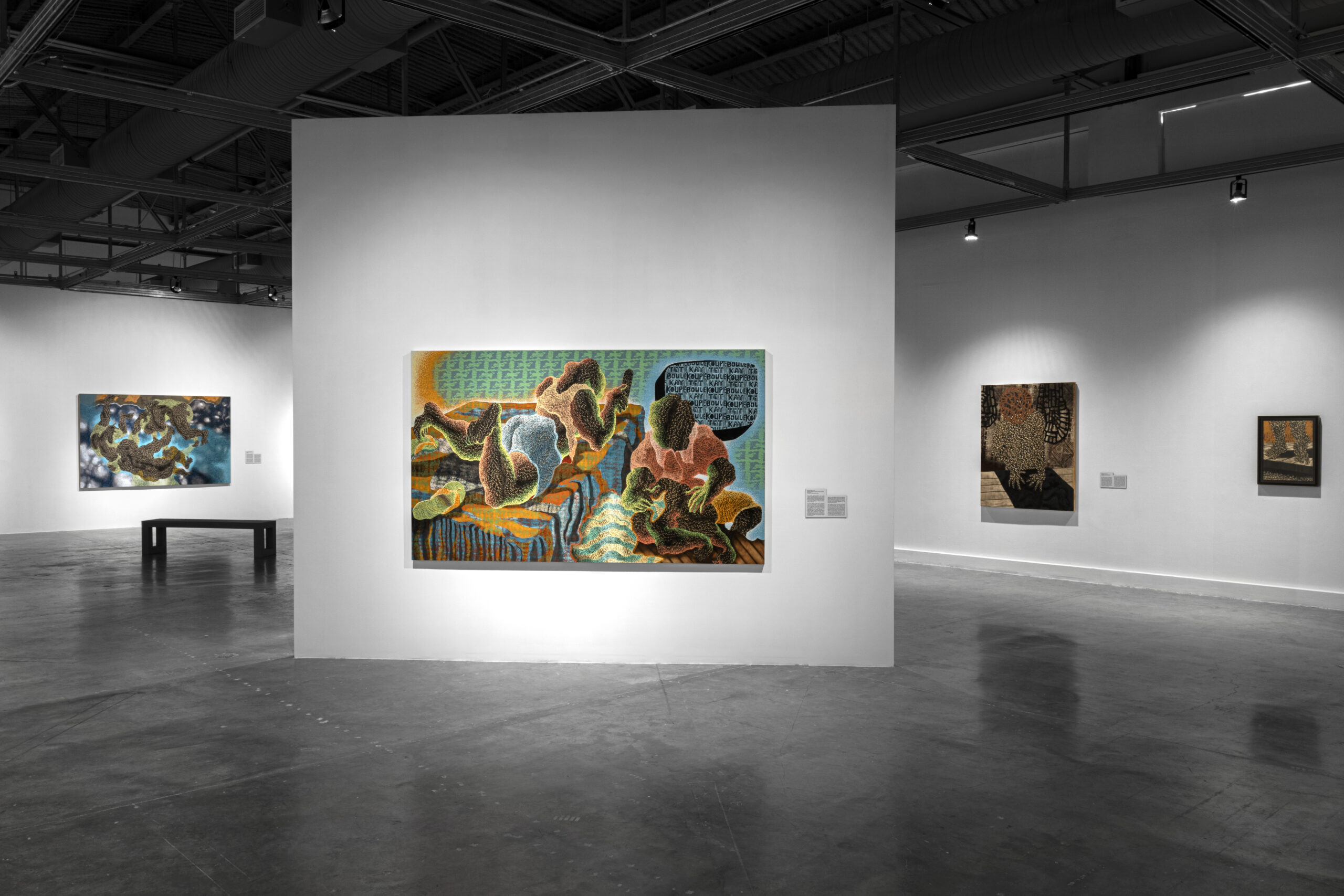 Exhibition view of a Didier William art show at MOCA North Miami.